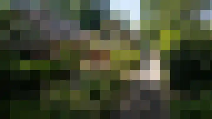Groenelaantje 2 a Nunspeet thumbnail 8