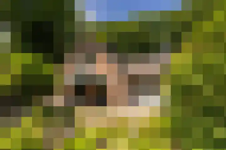 Groenelaantje 2 a Nunspeet thumbnail 9
