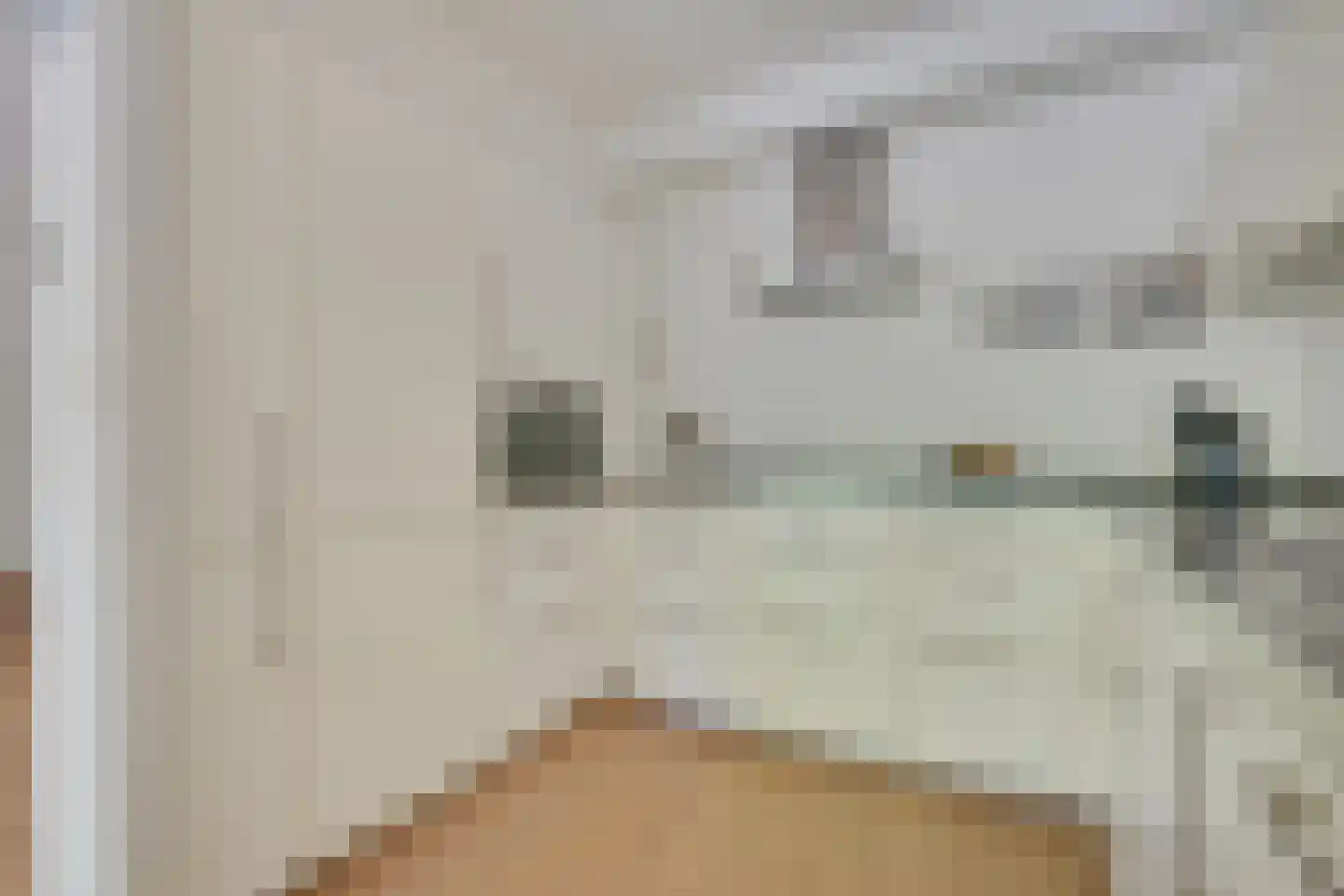 Groenelaantje 26 Alkmaar thumbnail 22