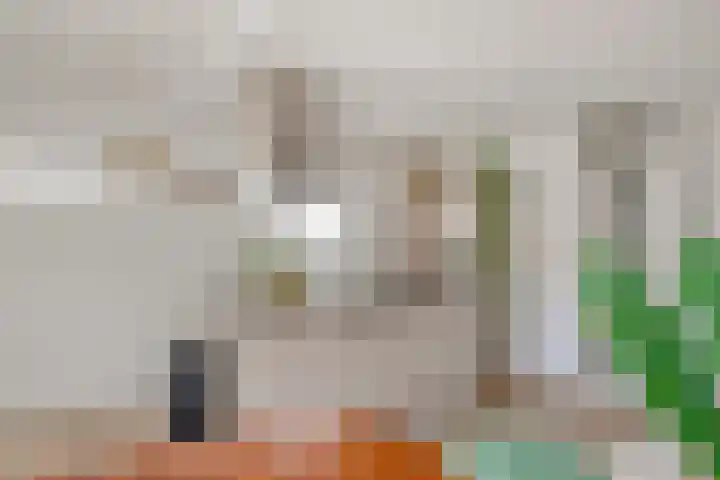 Groenelaantje 34 Alkmaar thumbnail 11