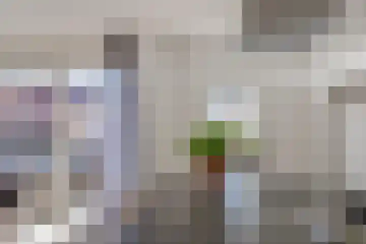 Groenelaantje 34 Alkmaar thumbnail 14
