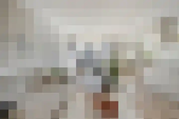 Groenelaantje 34 Alkmaar thumbnail 8