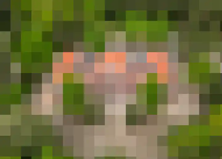 Groenelaantje 35 c Nunspeet thumbnail 9