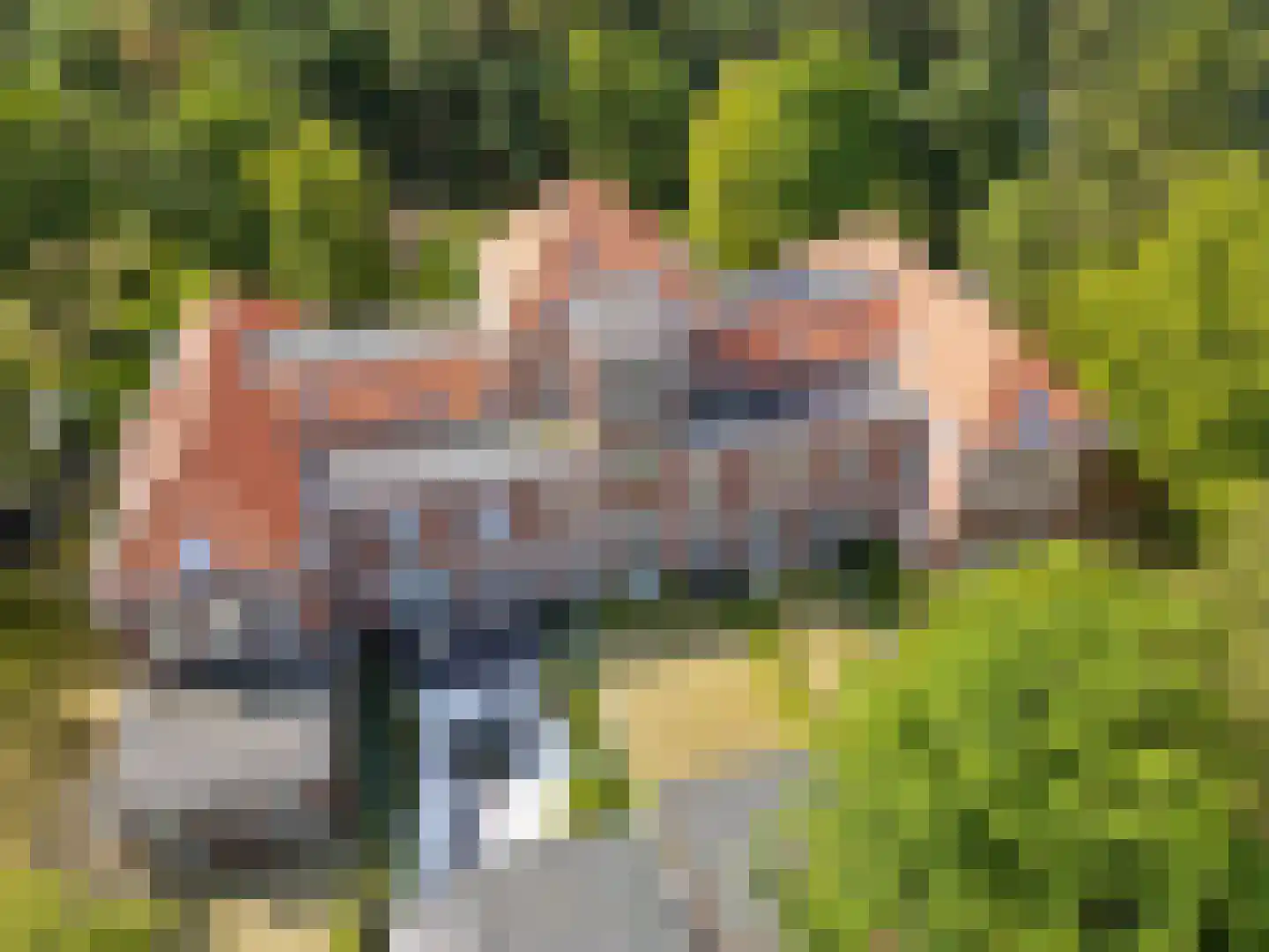 Groenelaantje 35 d Nunspeet thumbnail 17