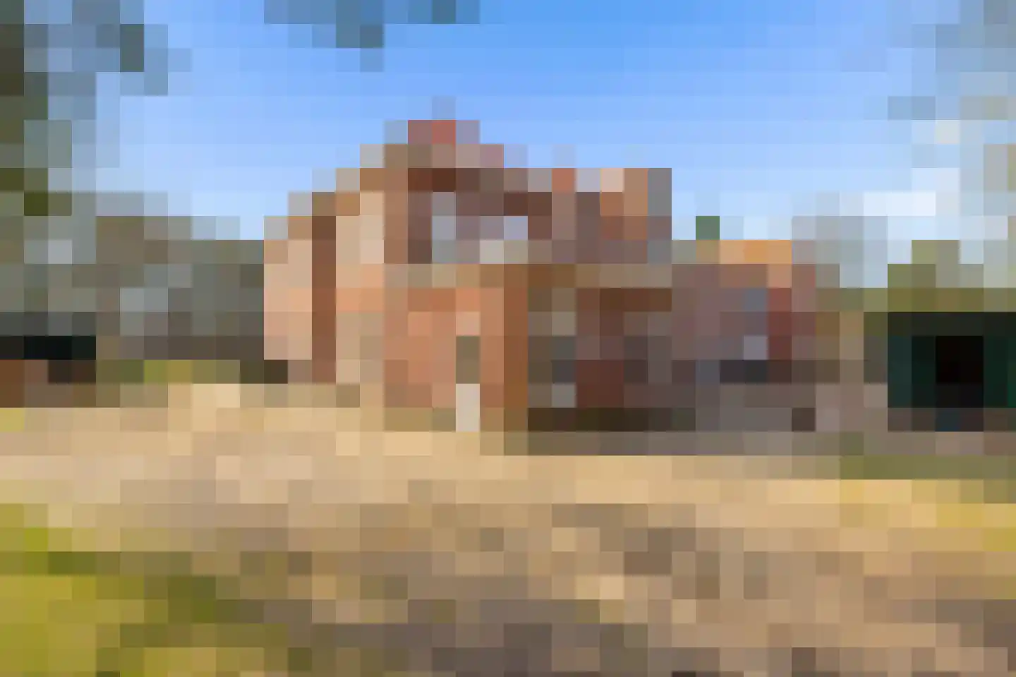 Groenelaantje 35 g Nunspeet
