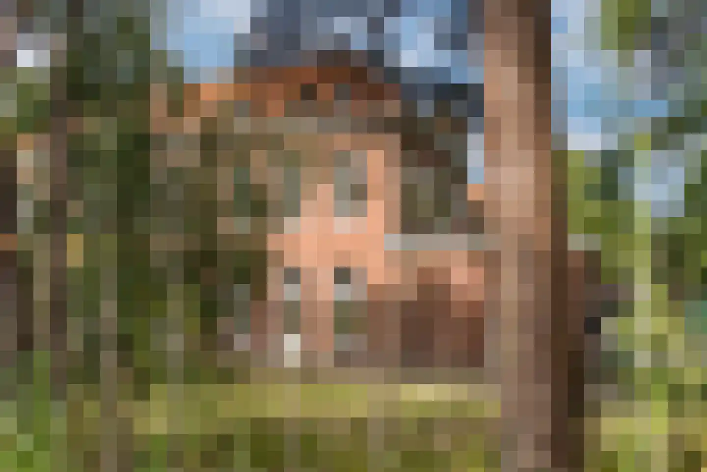 Groenelaantje 35 g Nunspeet thumbnail 11