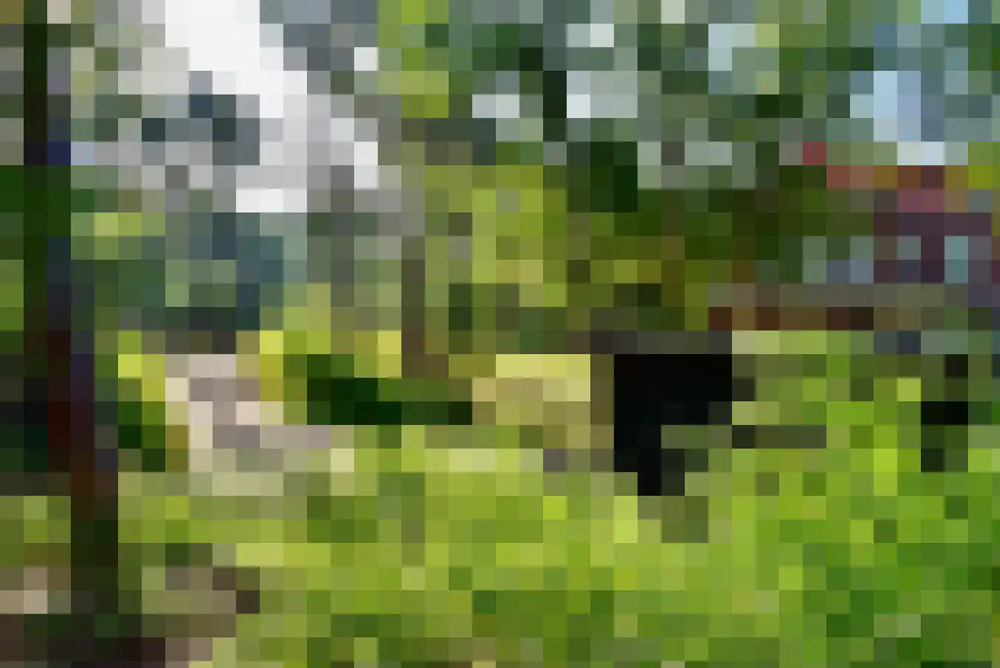 Groenelaantje 35 g Nunspeet thumbnail 13