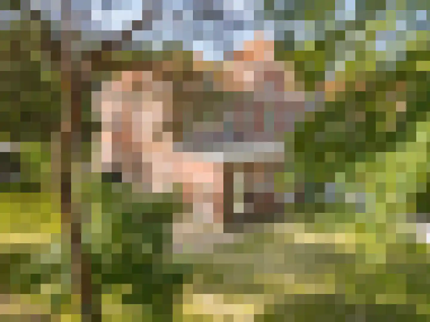 Groenelaantje 35 g Nunspeet foto 3