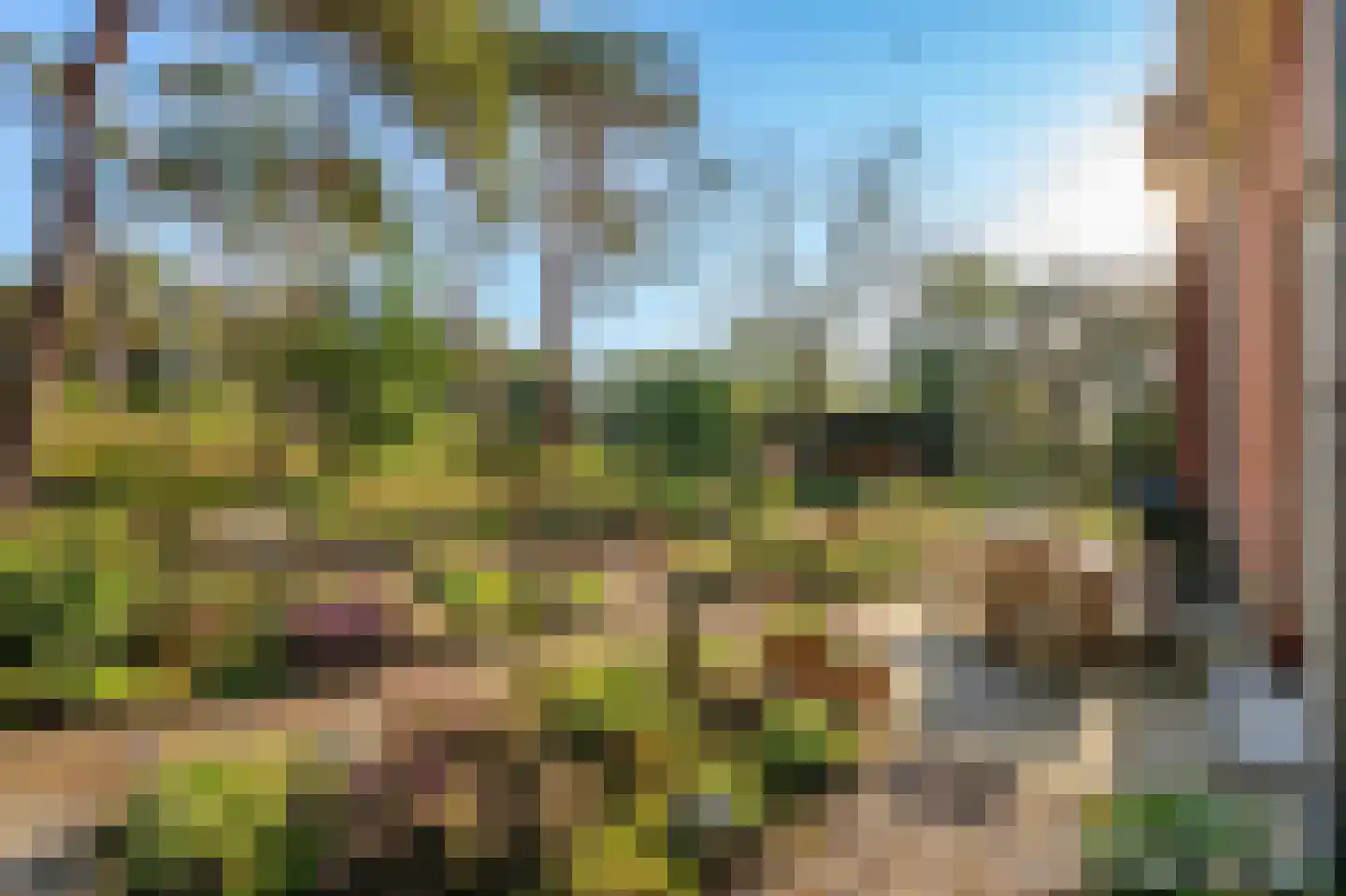 Groenelaantje 35 g Nunspeet thumbnail 6