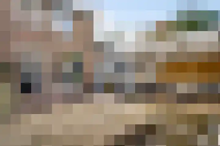 Groenenberg 1 Weert thumbnail 33