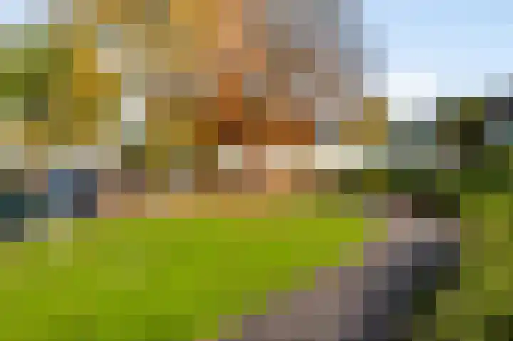 Groenenberg 1 Weert thumbnail 36