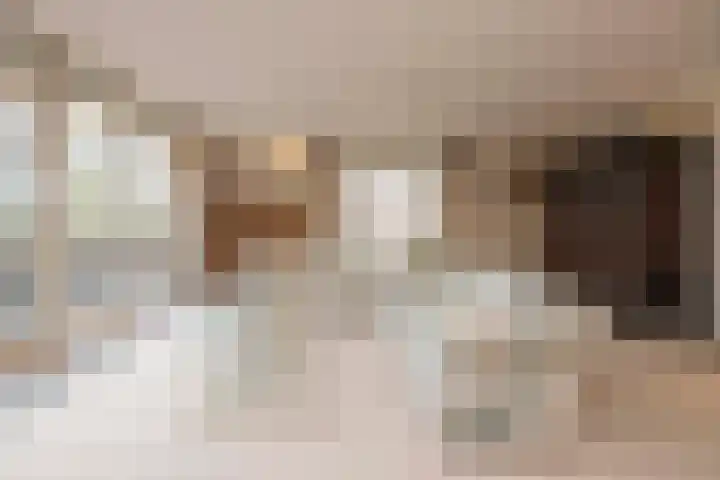 Groenenborgh 17 Oisterwijk thumbnail 15