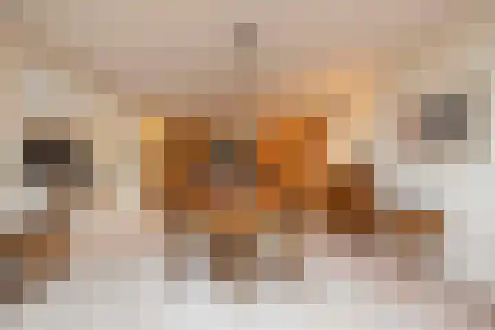 Groenenborgh 17 Oisterwijk thumbnail 22