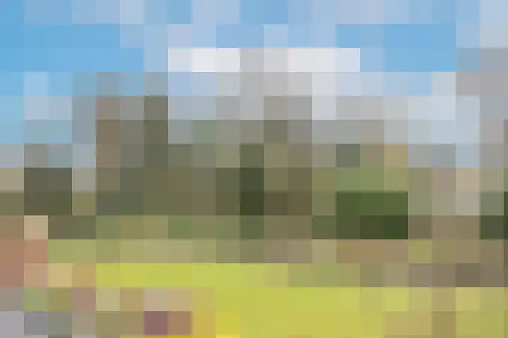 Groenenborgh 17 Oisterwijk thumbnail 27
