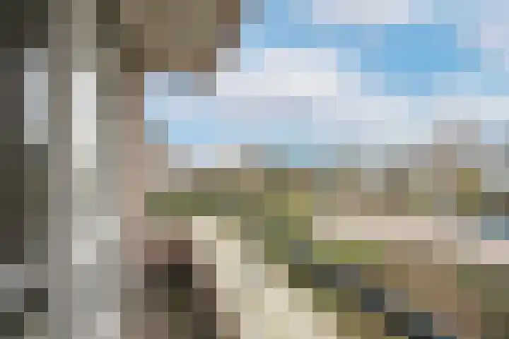 Groenenborgh 17 Oisterwijk thumbnail 29