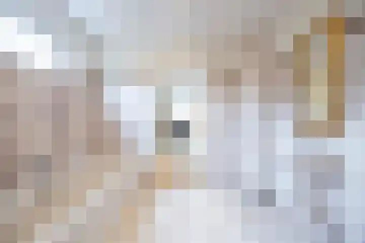 Groenenborgh 17 Oisterwijk thumbnail 32