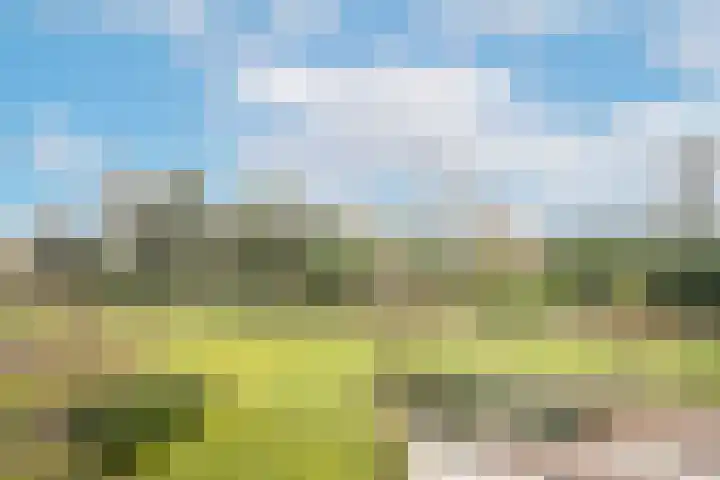 Groenenborgh 17 Oisterwijk thumbnail 35