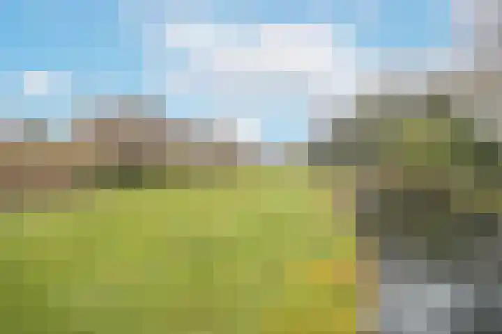 Groenenborgh 17 Oisterwijk thumbnail 39