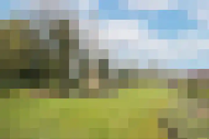 Groenenborgh 17 Oisterwijk thumbnail 4