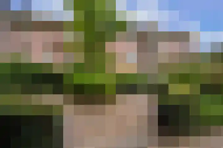 Groenenborgh 17 Oisterwijk thumbnail 6