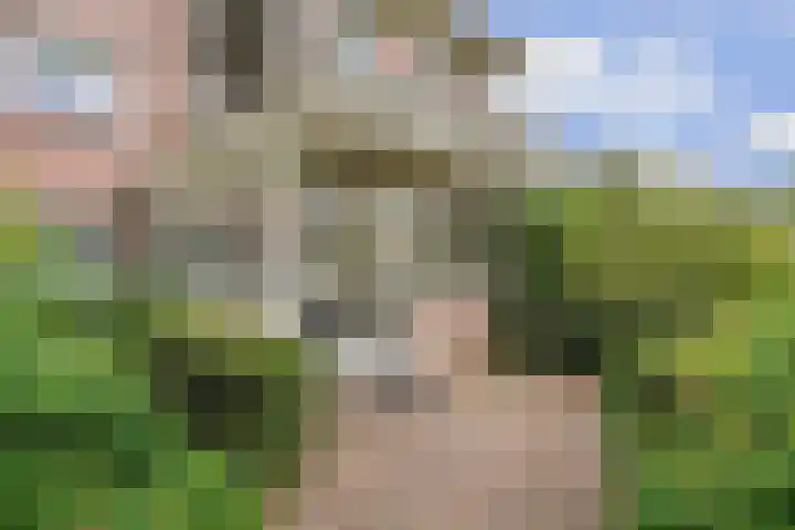 Groenenborgh 17 Oisterwijk thumbnail 7