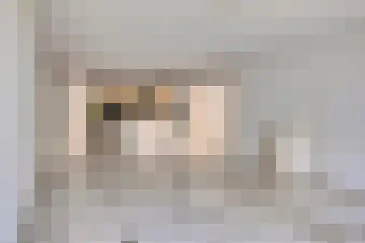 Groenenborgh 31 Oisterwijk thumbnail 17