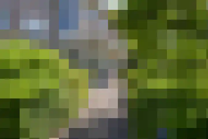 Groenenborgh 31 Oisterwijk thumbnail 4