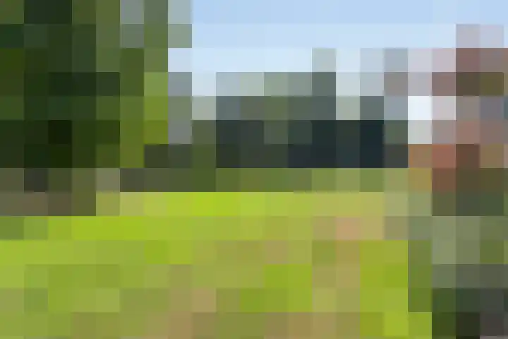 Groenenborgh 31 Oisterwijk thumbnail 5