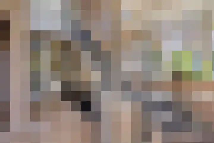 Groenenborgh 31 Oisterwijk thumbnail 7