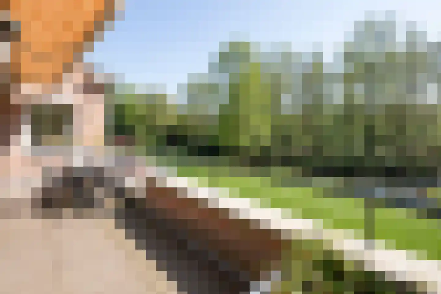 Groenenborgh 37 Oisterwijk thumbnail 23