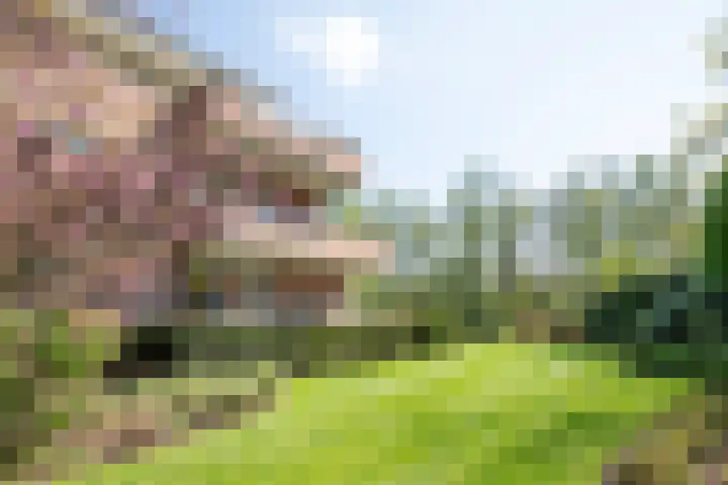 Groenenborgh 37 Oisterwijk thumbnail 38