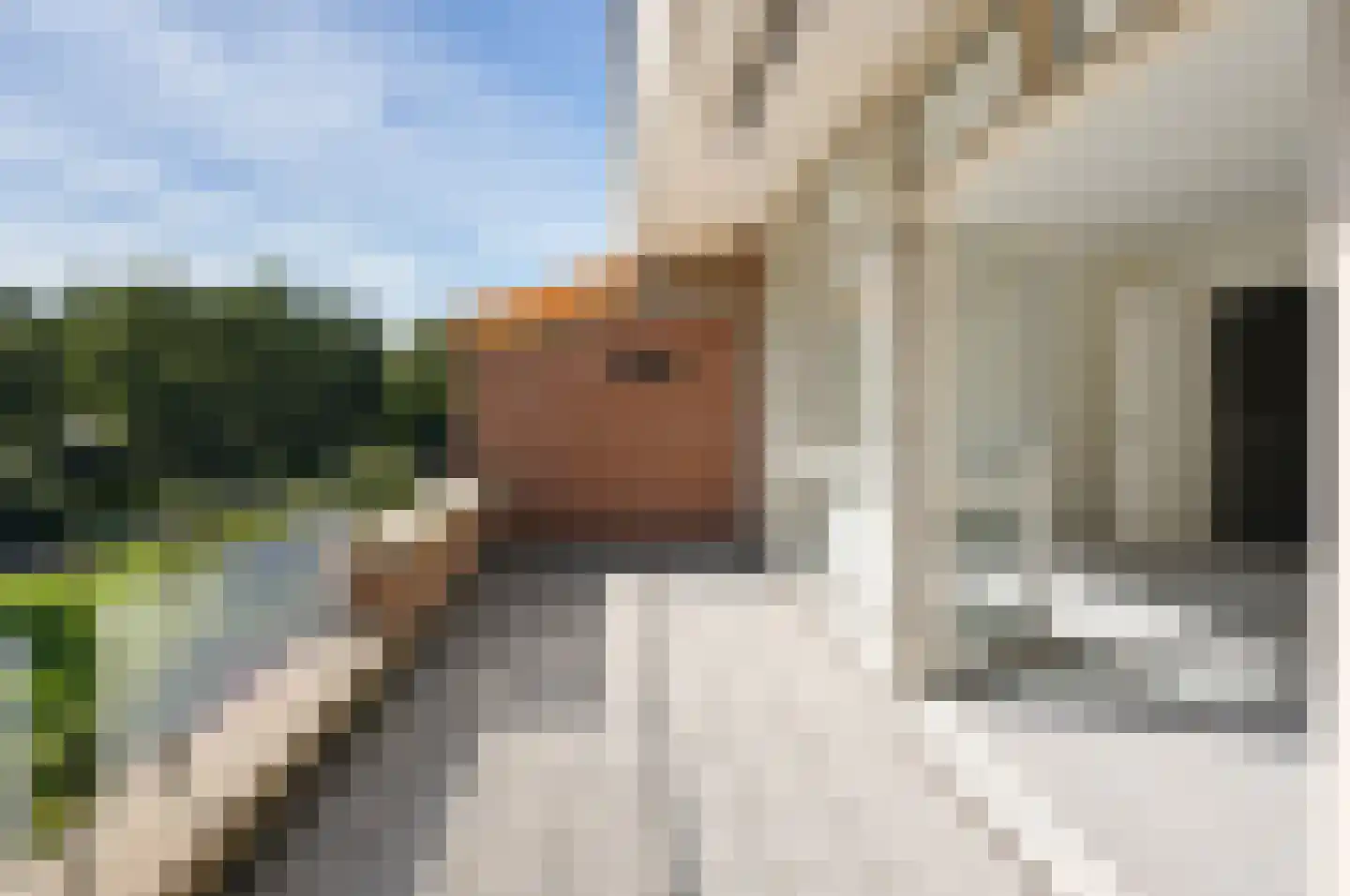 Groenenborgh 9 Oisterwijk thumbnail 16