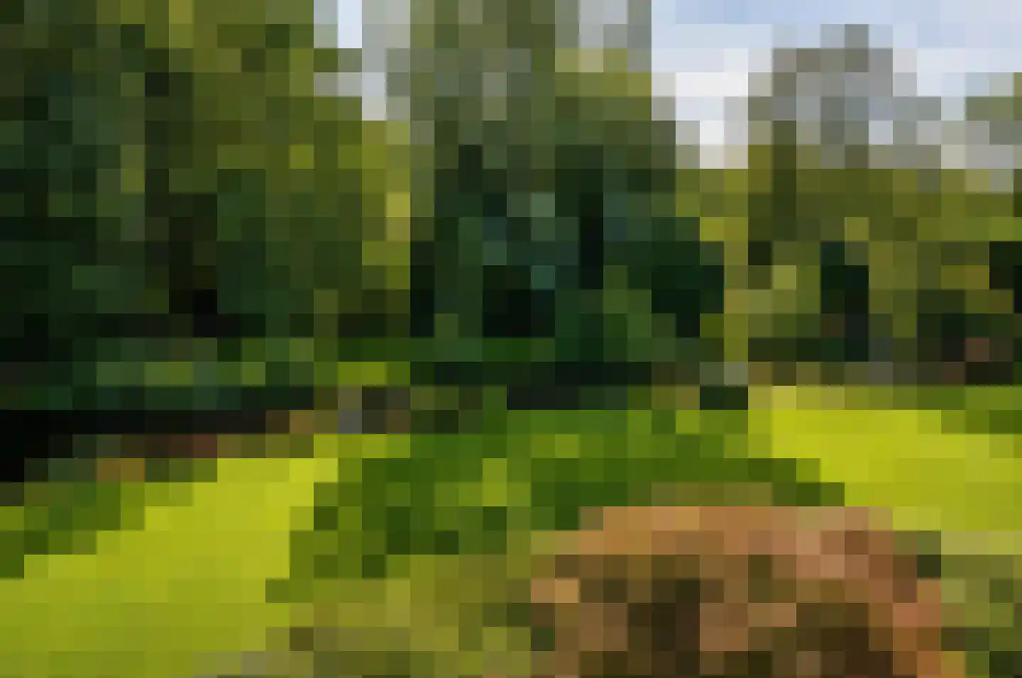 Groenenborgh 9 Oisterwijk thumbnail 25