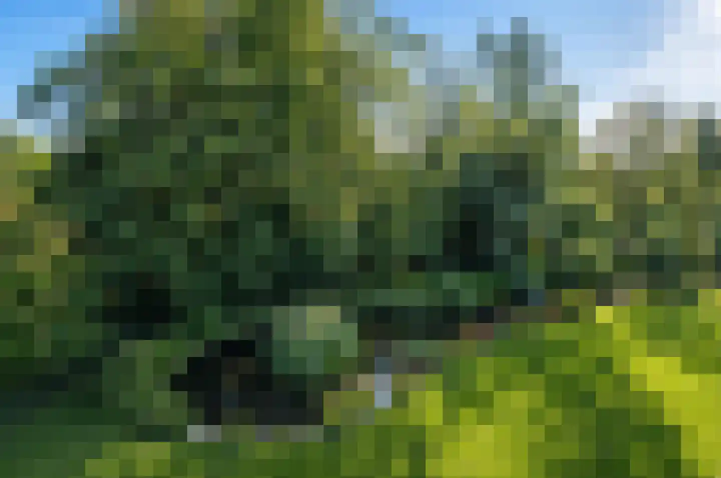 Groenenborgh 9 Oisterwijk thumbnail 27