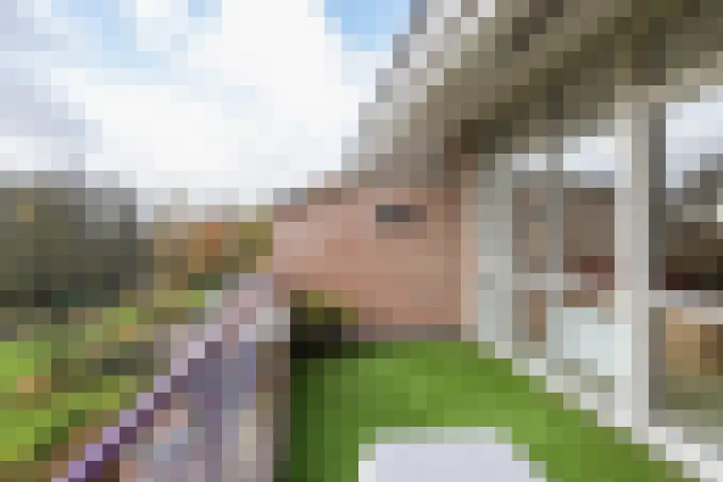 Groenenborgh 9 Oisterwijk thumbnail 28