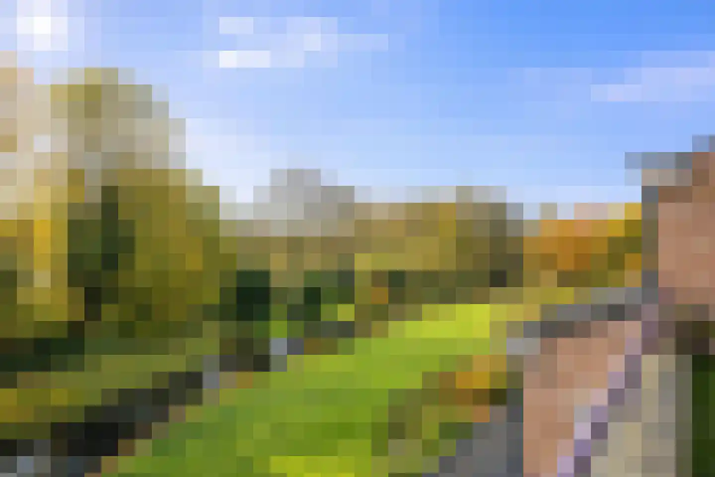 Groenenborgh 9 Oisterwijk thumbnail 29