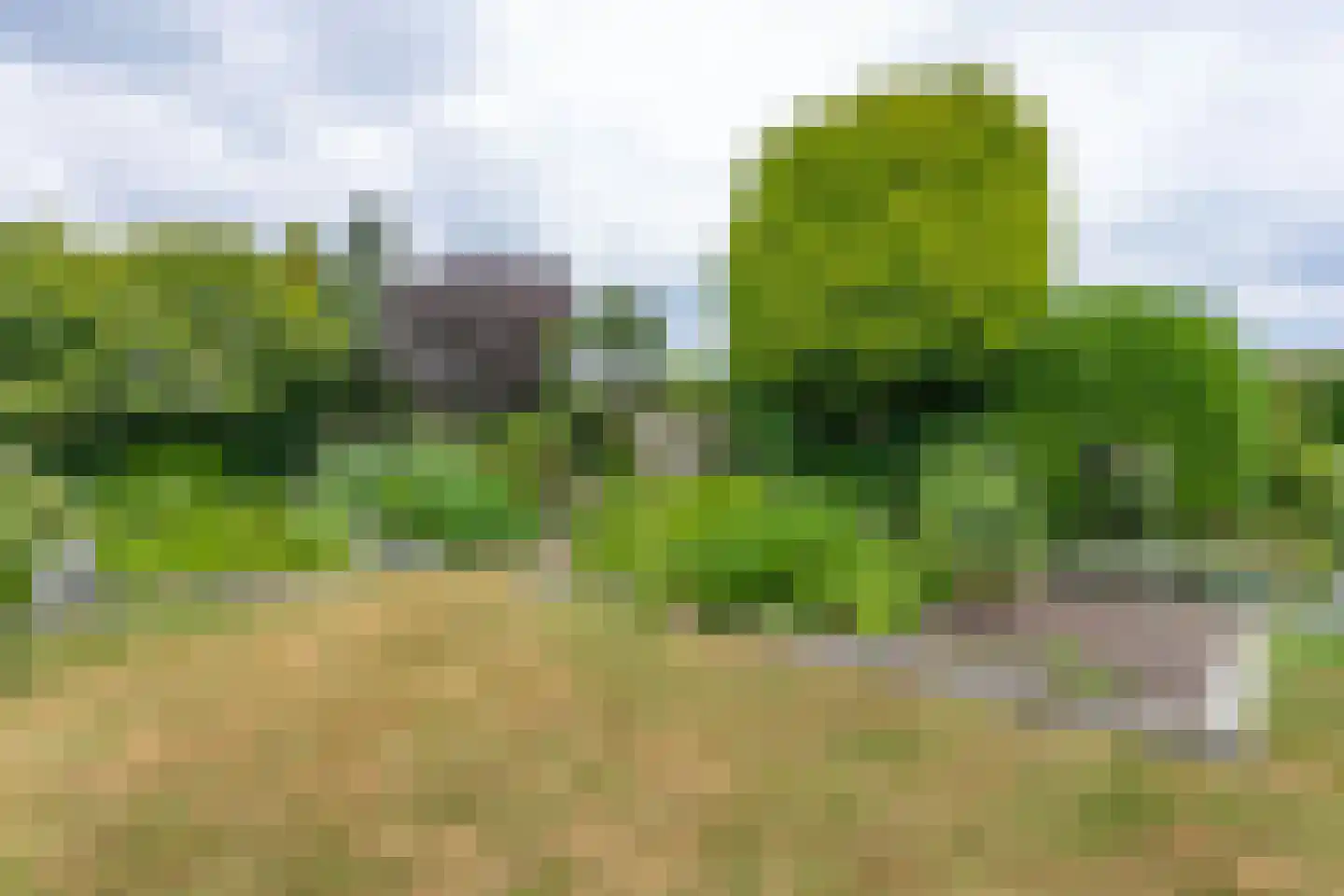 Groenenborgstraat 15 Schinnen thumbnail 38