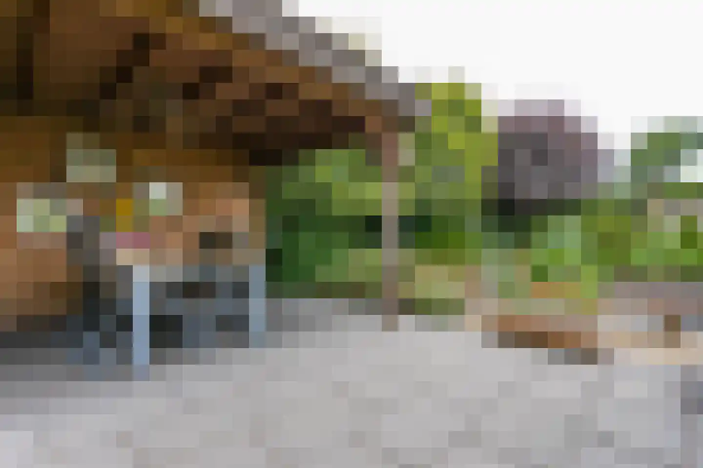 Groenenborgstraat 15 Schinnen thumbnail 39