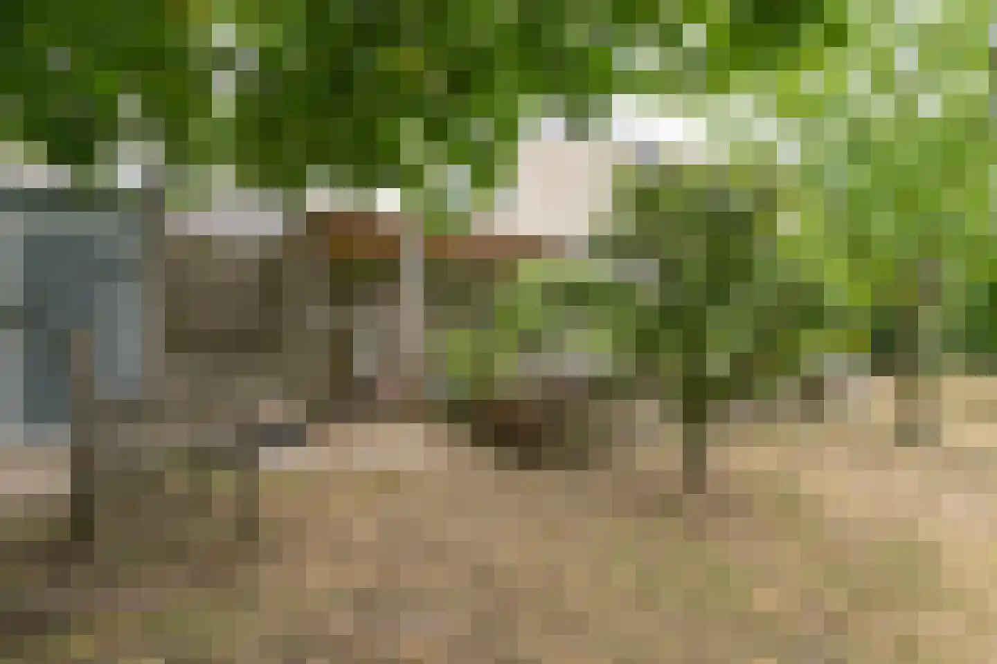 Groenenborgstraat 15 Schinnen thumbnail 41