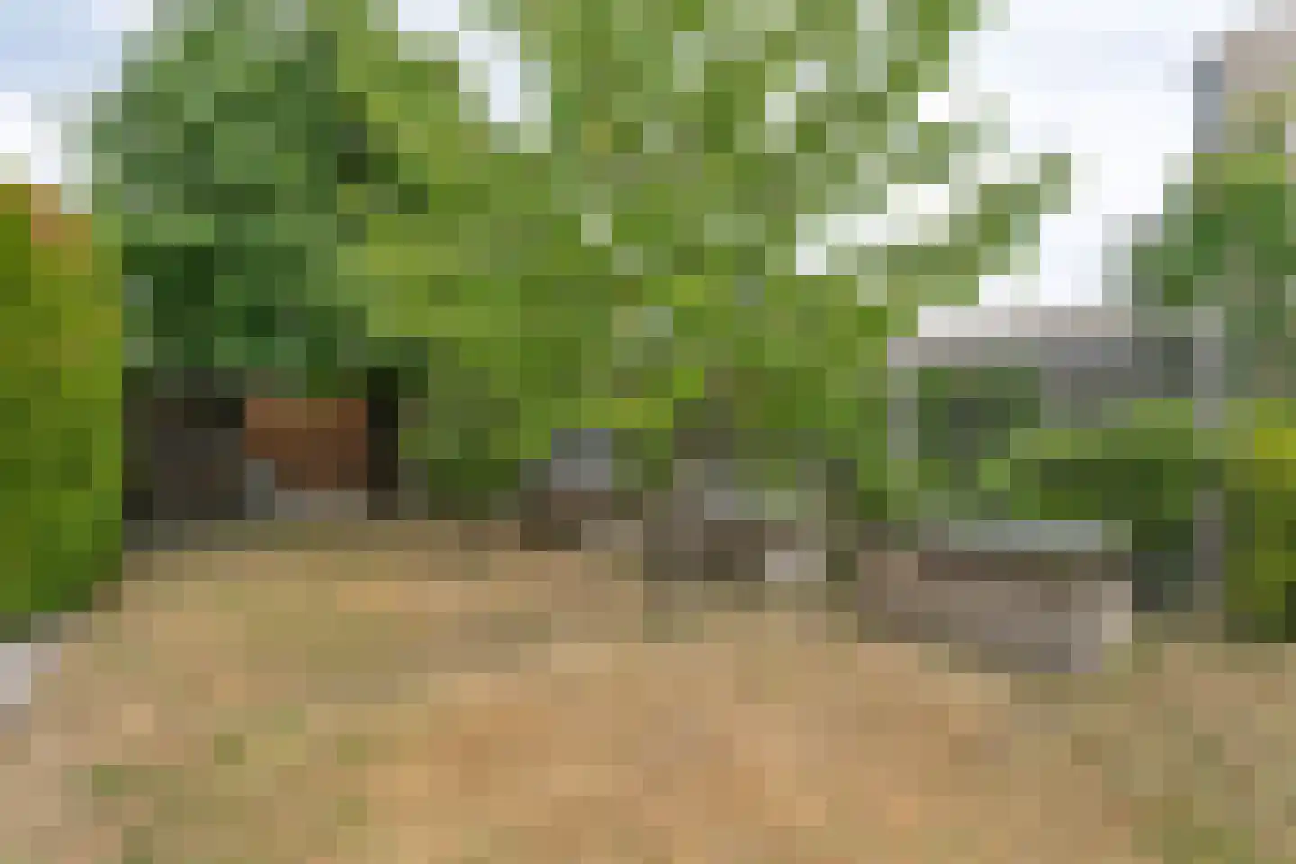 Groenenborgstraat 15 Schinnen thumbnail 42