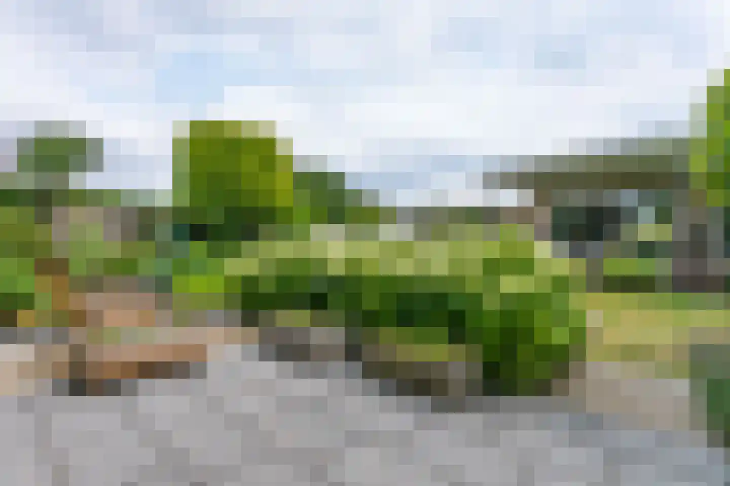 Groenenborgstraat 15 Schinnen thumbnail 6