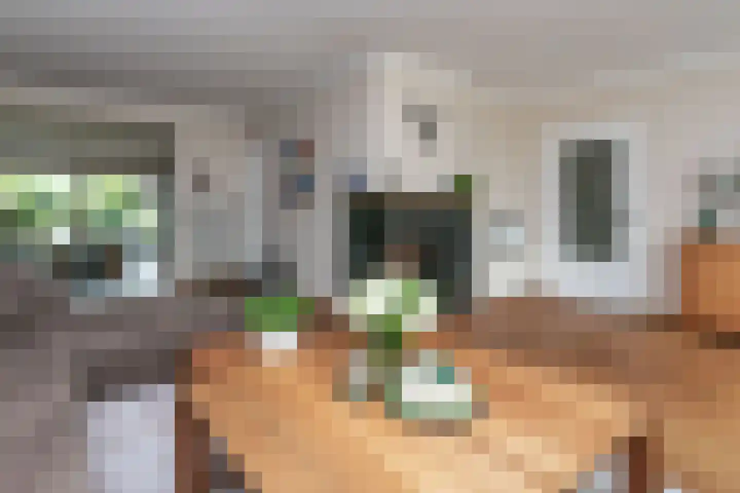 Groenenborgstraat 15 Schinnen thumbnail 7