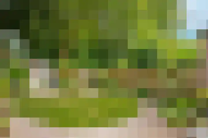 Groenendaal 1 Kesteren thumbnail 28