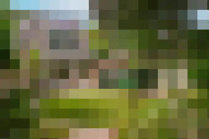 Groenendaal 1 Kesteren thumbnail 31