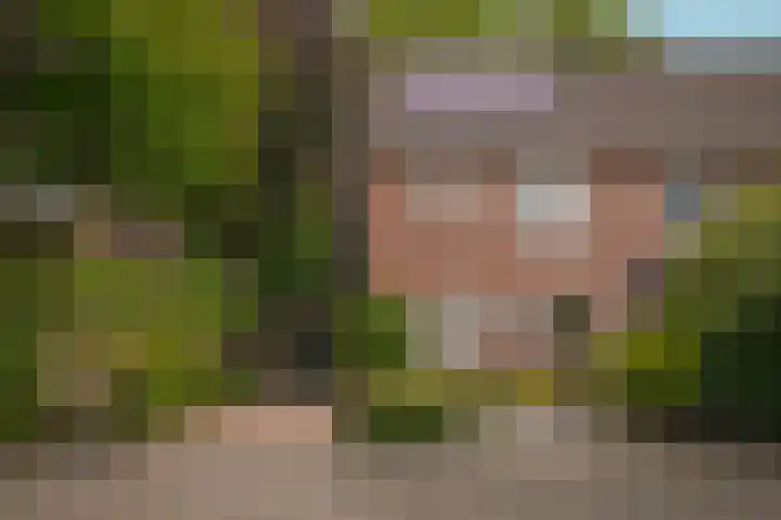 Groenendaal 1 Kesteren thumbnail 34