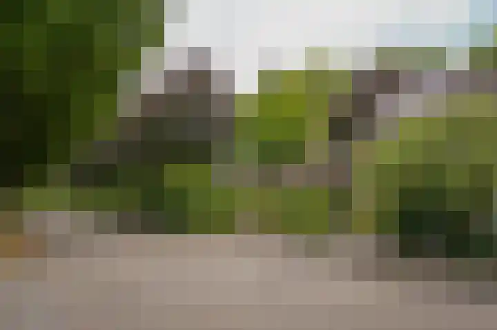 Groenendaal 1 Kesteren thumbnail 37