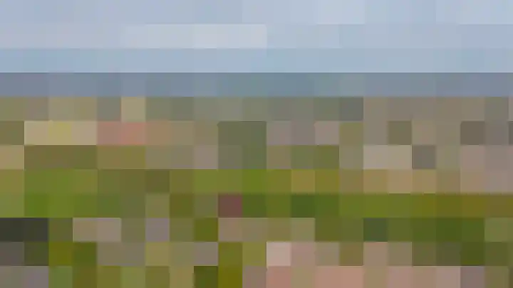 Groenendaal 1 Kesteren thumbnail 40