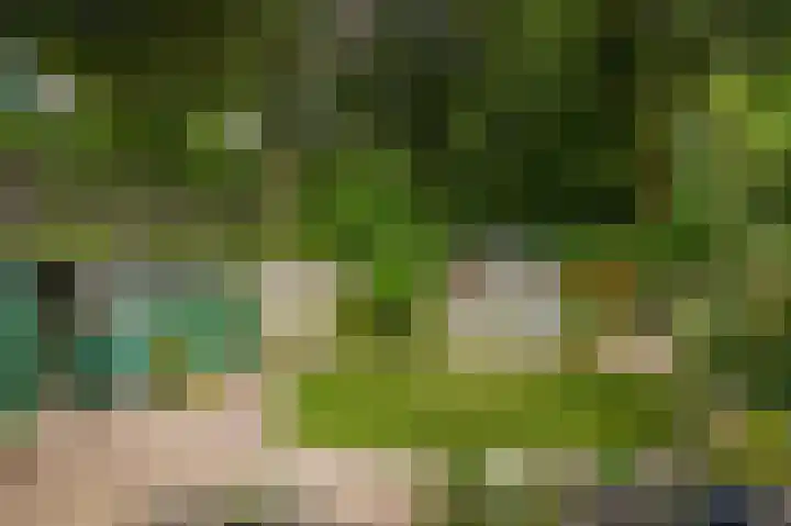 Groenendaal 1 Kesteren thumbnail 6