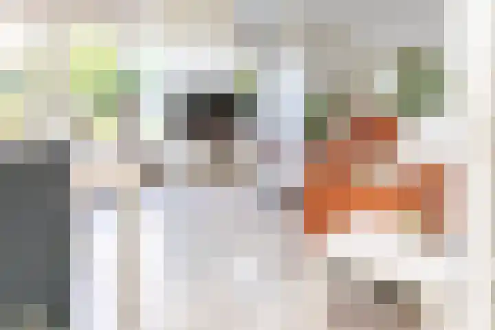 Groenendaal 14 Kesteren thumbnail 11
