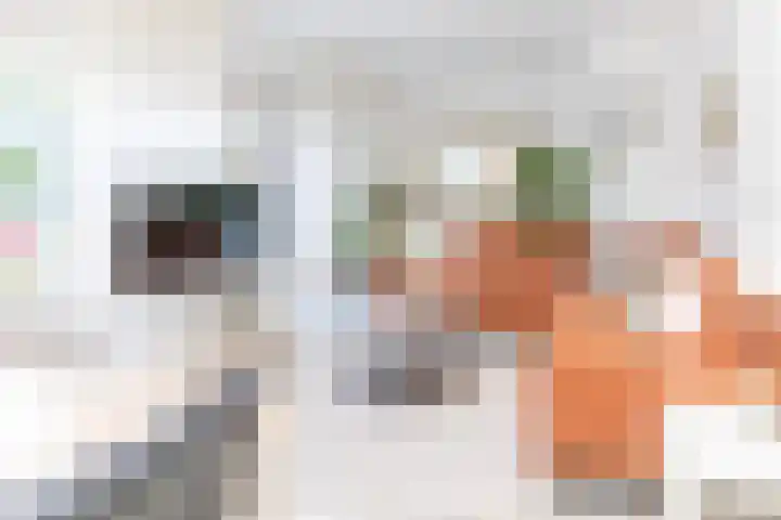 Groenendaal 14 Kesteren thumbnail 12